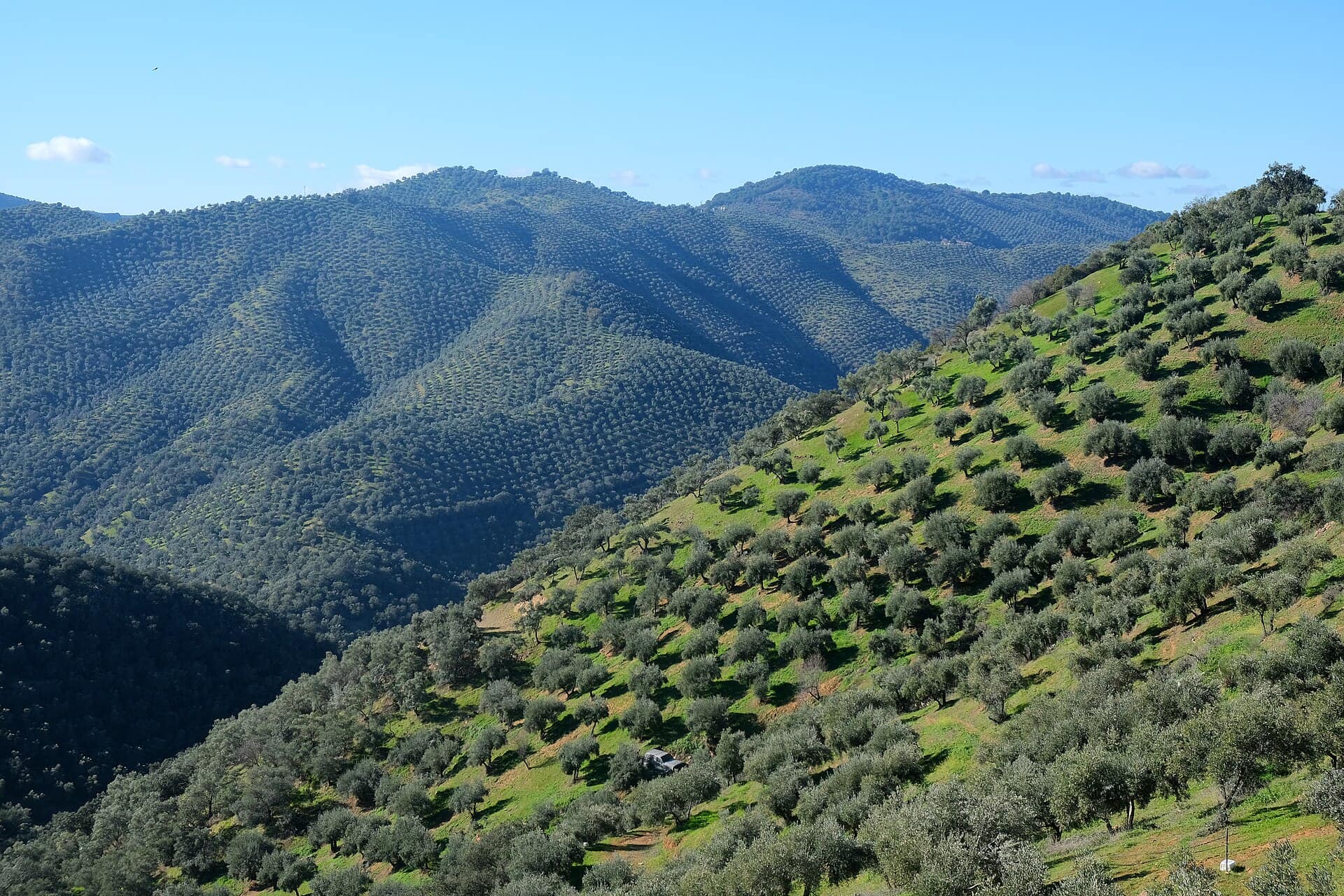 Agrotourism in Crete: A Journey into Rural Life